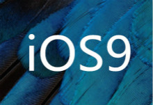 iOS 9零日漏洞现天价  300万美元悬赏