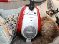 戴森宣布博士和西门子存在能效作弊 将采取法律行动