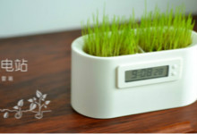 闻所未闻——泥土发电？西班牙研发植物台灯