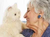 专为老年人推出 美国孩之宝机器人宠物猫