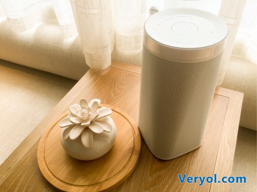 DingDong音箱“入驻”花间堂 布局酒店智能入口