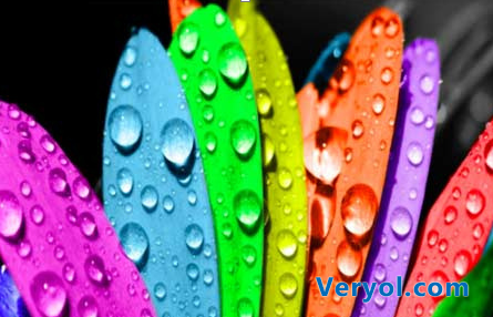 卓易市场Color炫彩登幕 睛彩原初色，体验心细节