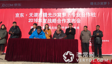 沙窝萝卜开卖啦 京东商城开启自营鲜蔬产地直供