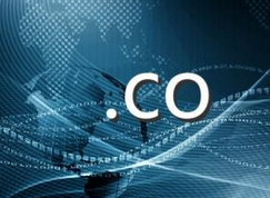 世界域名大会获国域网66.cn大力支持