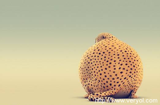 CBNData发布在线票务平台数据报告 淘票票份额升至第二(图1) 1