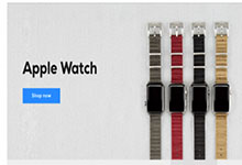 Apple Watch表带更新啦！贝尔金/Incase发布其首款表带