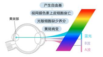 读屏时代关怀用眼健康，创维OLED实力助攻(图1)