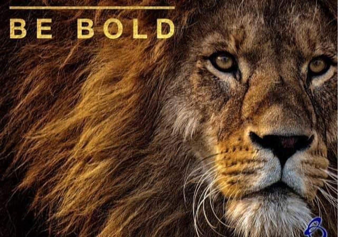 微信图片_20240619122325.png 微信图片_20240619122325.png