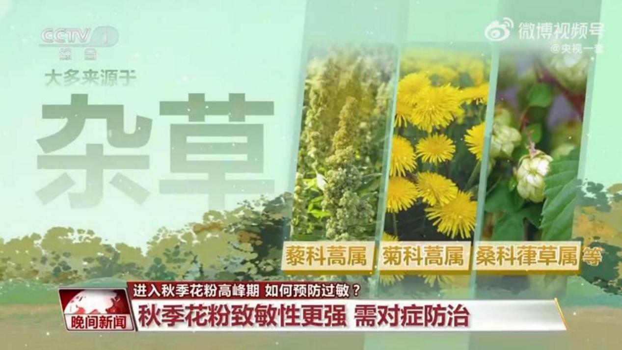 秋季过敏高发期来临！约克VRF中央空调守护全家人的呼吸健康(图2)