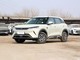 比亚迪 元UP 2025款 智驾版 401KM 领先型