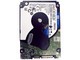 西部数据蓝盘 2TB 5400转 128MB SATA3（WD20SPZX）