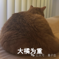 猫主子的运动方程 首次被物理学家破解！