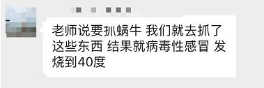 下雨后在路边看到这种动物千万别碰：立刻弄死它！