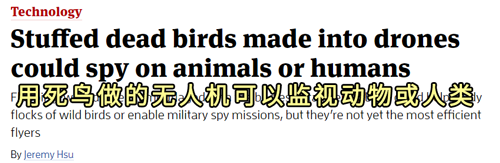 把死鸟尸体改造成无人机:这是用亡灵科技制作生物间谍?