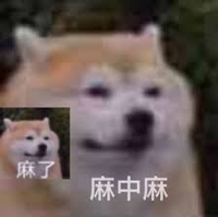 纽约为了灭鼠给老鼠避孕：结果它们多到成了网红景点