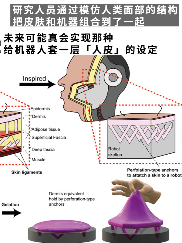 还得是日本！给机器人做了一张“人皮”：这鬼畜微笑过于瘆人