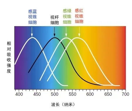 英国国王肖像画引热议：其实查尔斯自己第一眼看到也惊了