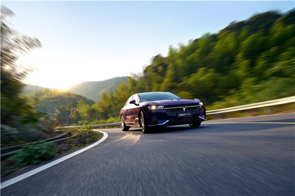 BBA的“价值” 正在被国产汽车快速“碾压”(图6)