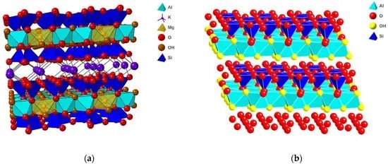 地球生命到底怎么起源的？基因？还是细胞？