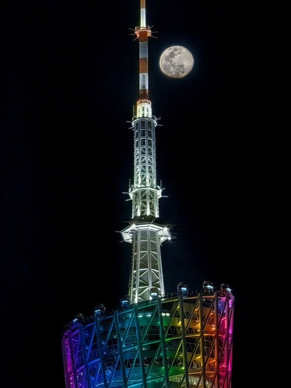 2023年最值得期待的高端旗舰!华为P60系列官宣3月23日发布