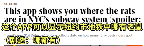 纽约为了灭鼠给老鼠避孕：结果它们多到成了网红景点