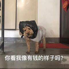 10分钟从老板手里骗走430万!骗子们把AI玩明白了