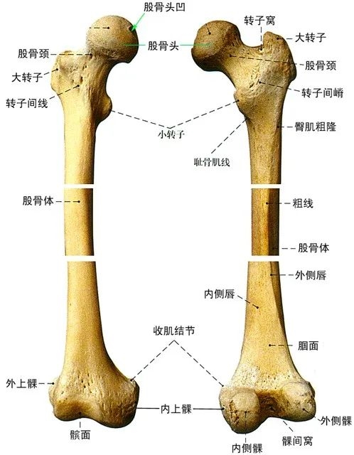 用一个圆柱体包裹埃菲尔铁塔：里边的空气 居然比塔还量