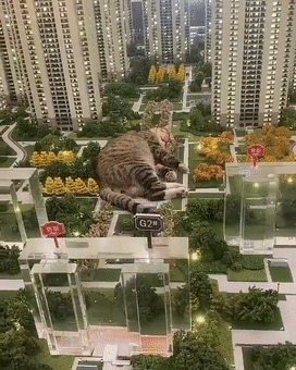猫师傅、你是干什么工作的?