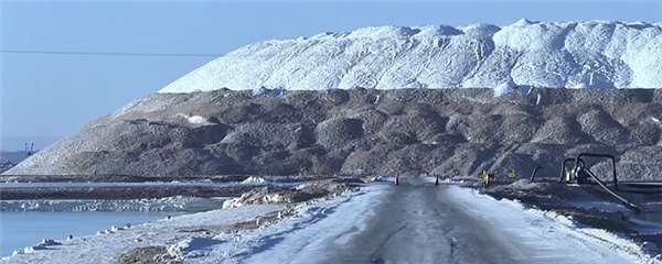 和中国电池沾点边就扣补贴 我都想替美国车企哭