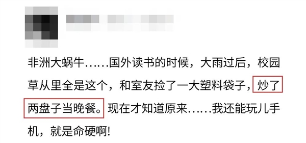 下雨后在路边看到这种动物千万别碰：立刻弄死它！