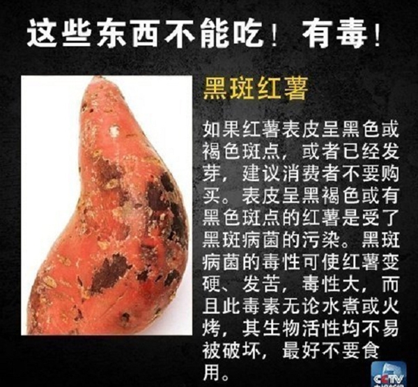 网友在山姆买到剧毒蓝环章鱼 央视科普：这几样常见食物也不能吃