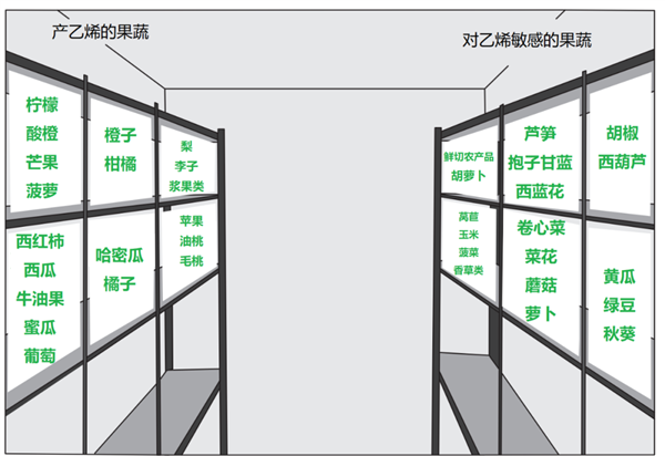 注意！这两类水果在冰箱里千万别放一起