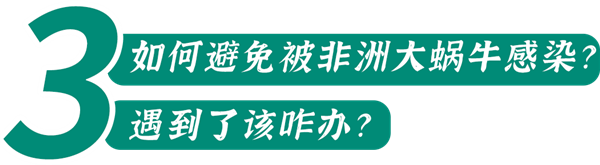 下雨后在路边看到这种动物千万别碰：立刻弄死它！