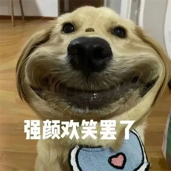 无牌产品硬刚国际大牌 就因为带货主播们买地建厂？