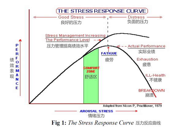 奥运乒乓王楚钦爆冷出局：跟换球拍到底有没有关系？