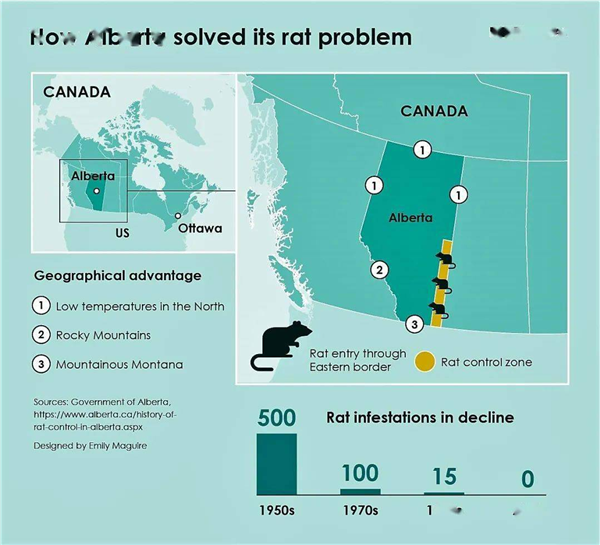 世界首个无鼠城市加拿大阿尔伯塔：毒杀、火烧和射杀齐上阵