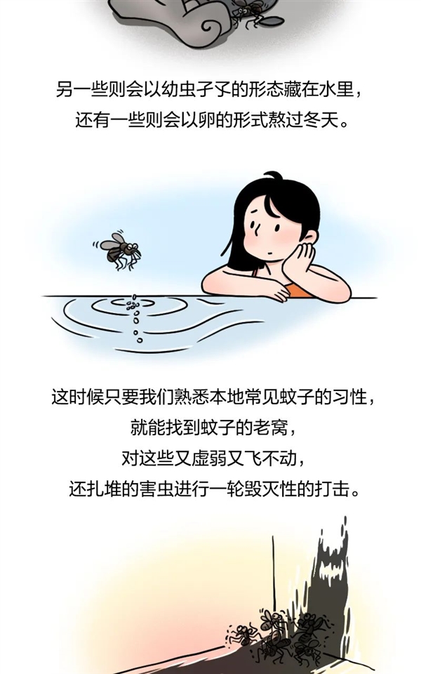 今天是世界蚊子日：能不能把蚊子“赶尽杀绝”？