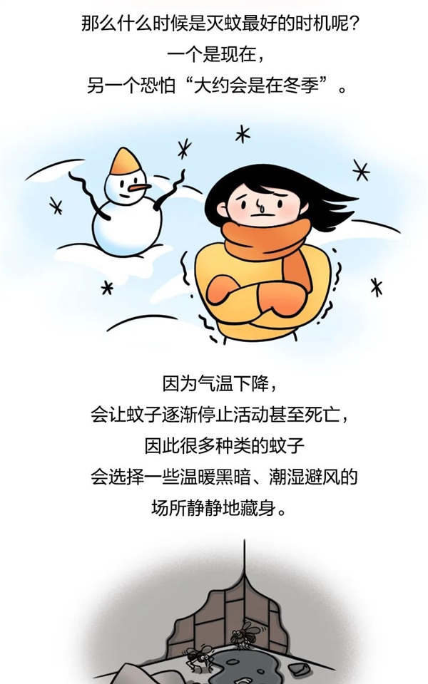 今天是世界蚊子日：能不能把蚊子“赶尽杀绝”？