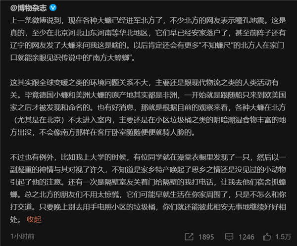 南方特产大蟑螂进军北方吓坏网友 博物科普：暂不会骑人脸