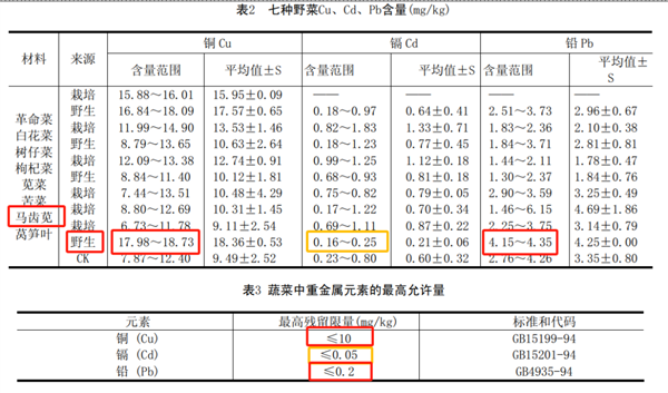 这种长寿菜现在吃正好：曾被当作猪食 营养价值极高