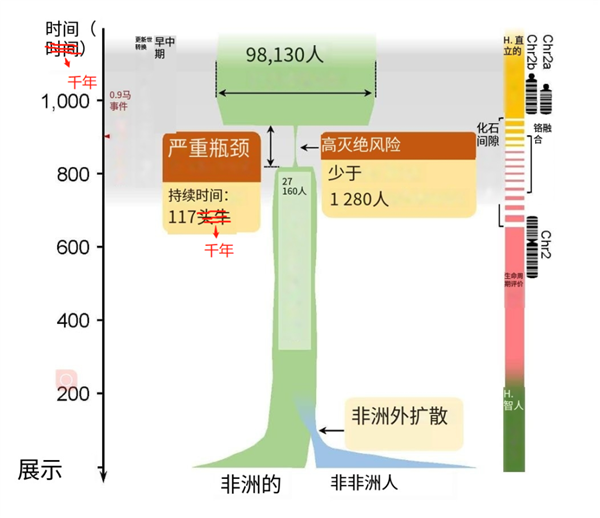 人类祖先曾只剩下1280人！为啥没近亲繁殖而灭绝？