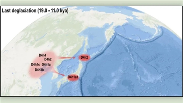 中国失传1000年的主食！现在又成了“土豪米”：还要从国外进口