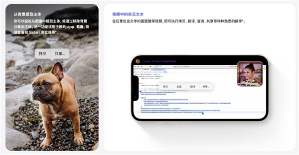 2023年 iPhone全面落后安卓?双持党有话讲!