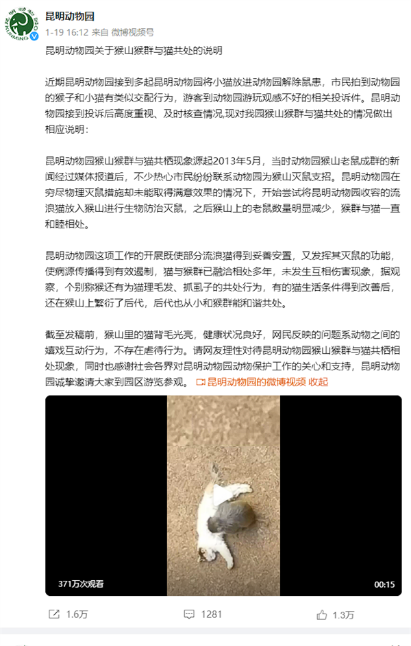 南京红山动物园为昆明动物园的猫发声：与猴混养肯定不合适