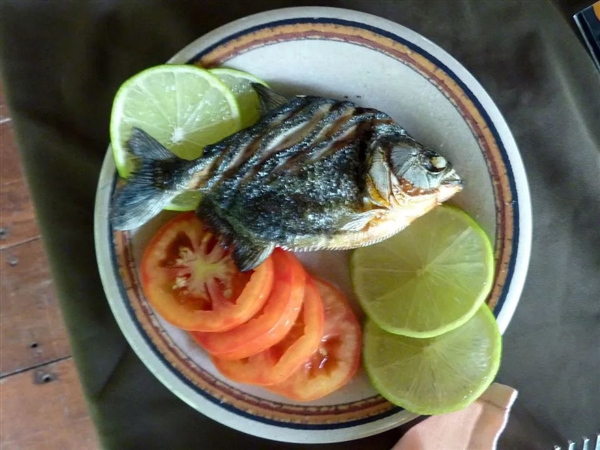 如果人掉入满是食人鱼的水池……谁更可怕还不一定