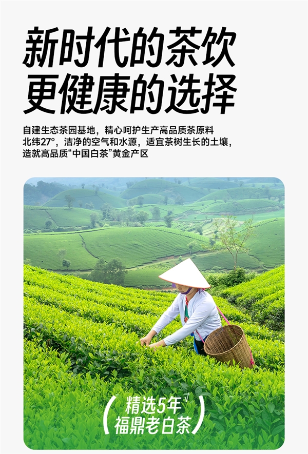 0糖0卡0脂 5年福鼎老白茶：福鼎原煮白茶1.8元/瓶发车