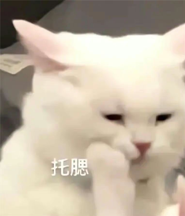 想解决显示器烧屏 还得是屏保最省钱省事