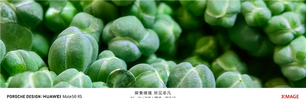 情人节礼物怎么选？首推高颜值又好用的华为Mate50 节日下单至高优惠300元