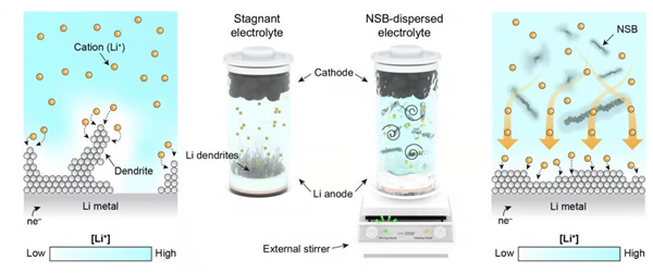 锂金属电池爱长枝晶？韩国科学家找到破解之法