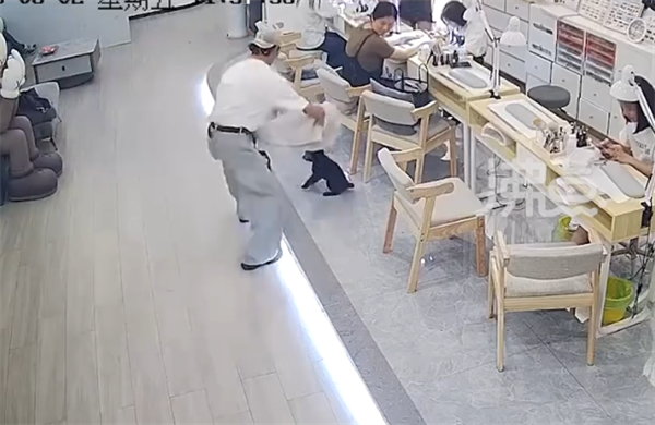 小狗进入美发店被店员装麻袋摔死 创始人:开除且永不录用